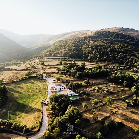 Tenuta Bianca Agriresort Sanza Zewnętrze zdjęcie